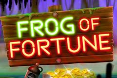 Frog Of Fortune brabet